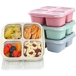 Shein Snack Divided Bento Lunch Box With Transparent Lids Reusable Meal Prep Lunch Adults No BPA Compartment Storage Food Container