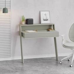 Fwstyle Ash Green Wallmounted One Size Writing Desk