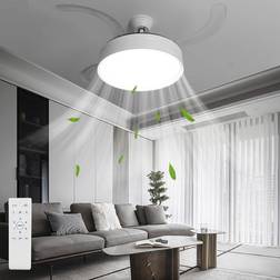 ExtraStar 2 in 1 Retractable Blade Fan