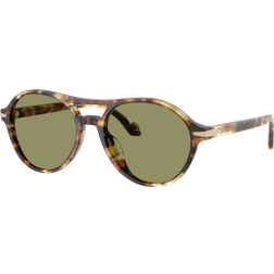 Giorgio Armani AR8236U Solglasögon Acetat Sköldpadda Grön