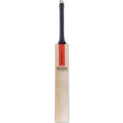 Gray-Nicolls Scoop 50 Players Edition Cricket Bat