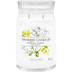 Yankee Candle 1630688E Midnight Jasmine Scented Candle 1210g