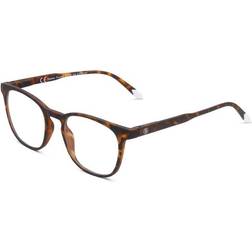 Barner Dalston Tortoise