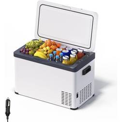 WOLTU Mini Frigo de Voiture Petit Réfrigérateur 30L