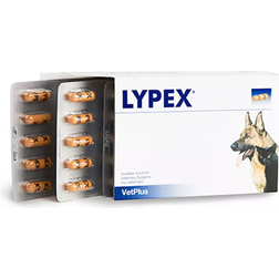 VetPlus Lypex Pancreatic Enzyme Capsules for Dogs 60pcs