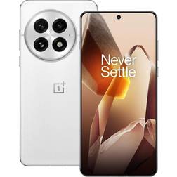 OnePlus 13 256GB Arctic Dawn