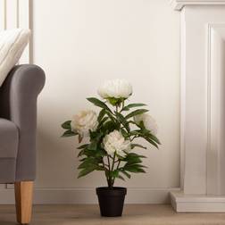 Dunelm Cream Peony Black Pot Artificial Plant