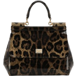 Dolce & Gabbana Borsa A Mano Handbags - Animal Print
