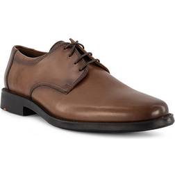 LLOYD Nevio - Brown