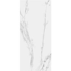 RAK Ceramics Classic Carrara (A83GZCRR-GY0.G0C2P) 305x135cm
