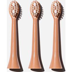 Spotlight Oral Care Sonic Toothbrush Replacement Heads Rose Gold 3-pack
