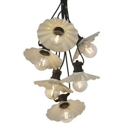 PR Home Daisy Beige Ljusslinga 6 Lampor