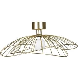 Globen Lighting Ray Brushed Brass Loftplafond ∅ 60cm