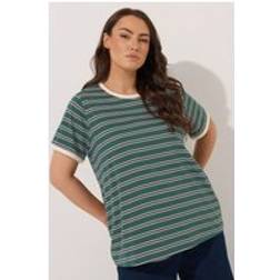 Yours Stripe Ringer T-Shirt Women - Green