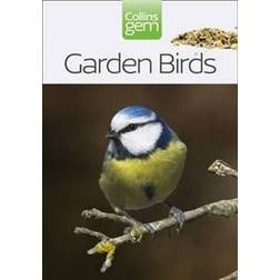 Garden Birds (Häftad, 2004)