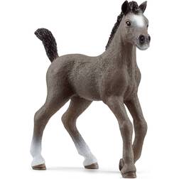 Schleich Horse Club 2023 New Horses, Horse Toys for Girls and Boys Cheval de Selle Francais Foal Horse Toy Figurine, Ages 5