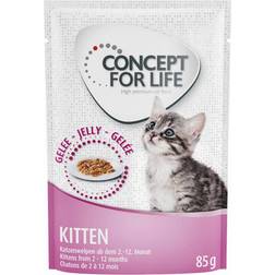 Concept for Life våtfoder till lågt prova-på-pris! Kitten gelé