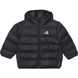 adidas Performance Vadderad Jacka - Svart