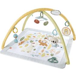 Mattel Fisher Price Sensimals Aktivitetsmatta HRB15