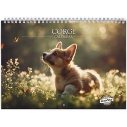 Saboke Corgi 2026