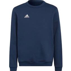 adidas Entrada 22 Sweatshirt - Clear Mint (HC5042)