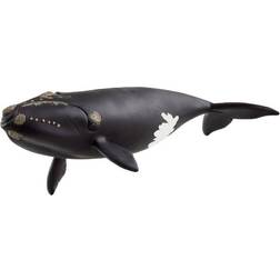Schleich North Atlantic Right Whale 19.5 cm