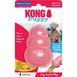 Kong Puppy M