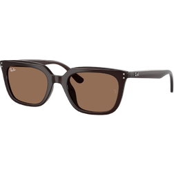 Ray-Ban RB4439D 623173 Solbriller Mænd Brun