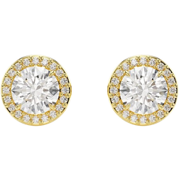 Swarovski Sterling Silver 925 Dameøreringe Forgyldt Rustfrit Stål - Guld/Transparent
