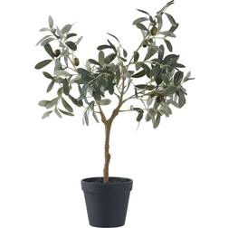 House Nordic Kunstigt Oliventræ Grøn H 61 cm Kunstig plante