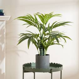 Scottish Everlastings 60cm Palm Tree Artificial Plant