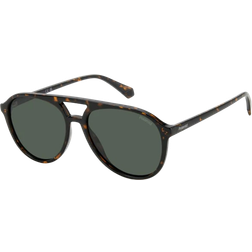 Polaroid PLD 4162/S - Dark Tortoise