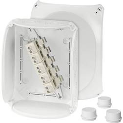 Hensel Hensel DK 2525 G Kopplingsdosa med plint, 25-35 mm 25 mm, 255 x 205 mm