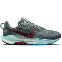 Nike Pegasus Trail 5
