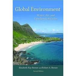 Global Environment (Inbunden, 2012)