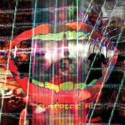 Animal Collective - Centipede Hz (Vinyl)