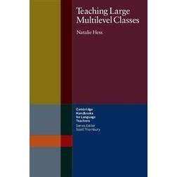 Teaching Large Multilevel Classes (Häftad, 2001)