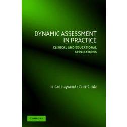 Dynamic Assessment in Practice (Häftad, 2006)