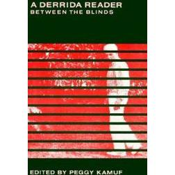 A Derrida Reader (Häftad, 1991)