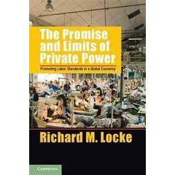 The Promise and Limits of Private Power (Häftad, 2013)