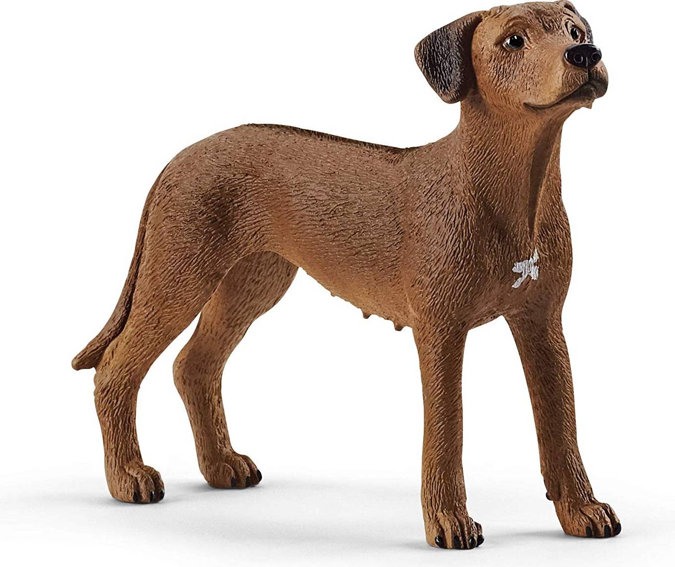 Schleich Rhodesian Ridgeback 13895