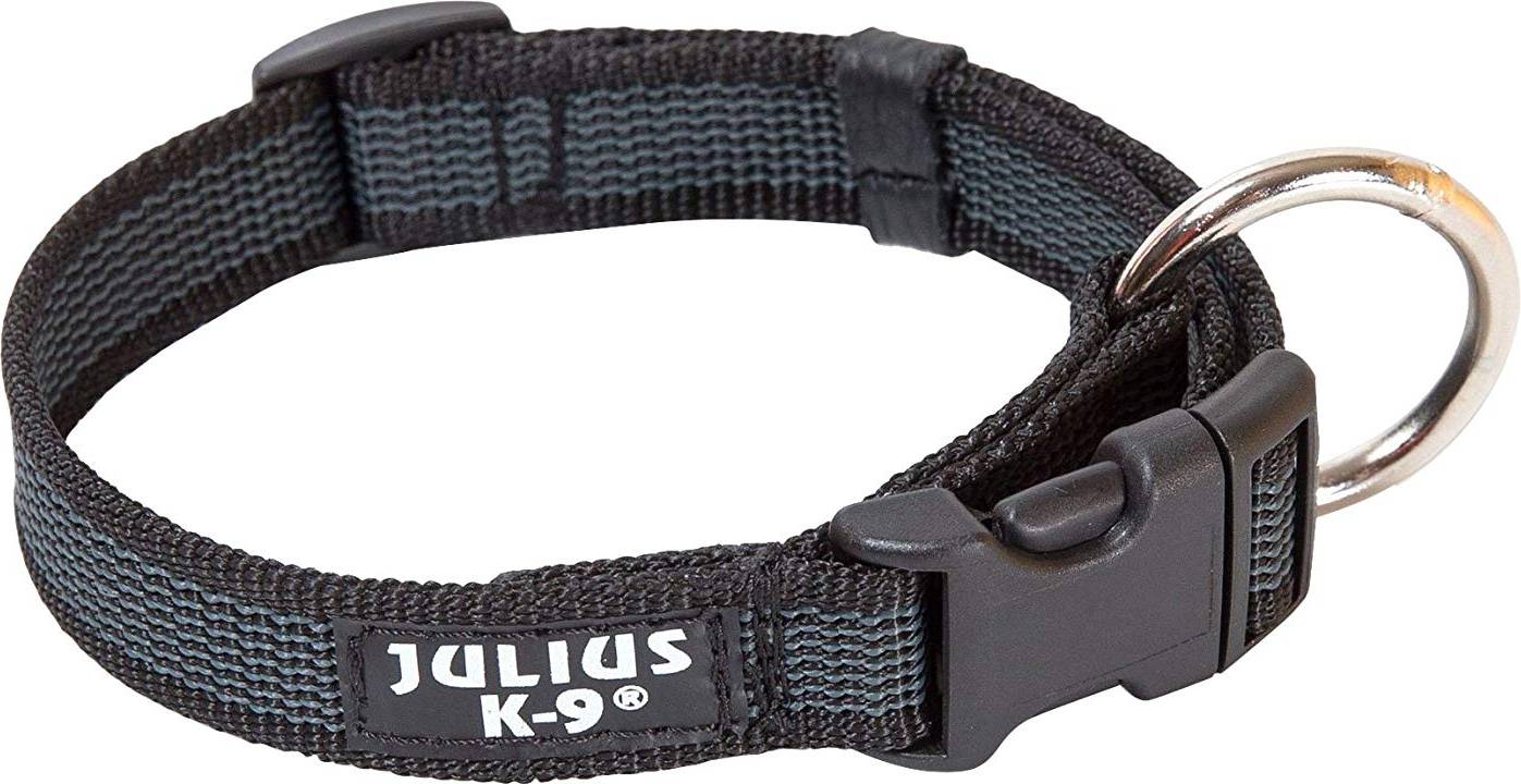 Julius-K9 Color & Gray