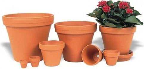 STD Pot