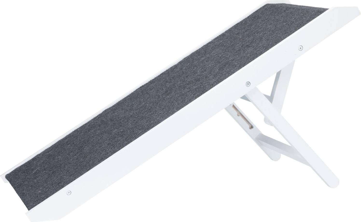 Adjustable in Height Ramp