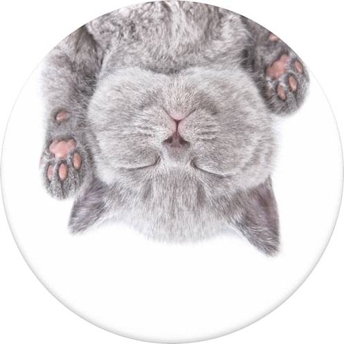 PopGrip Cat Nap