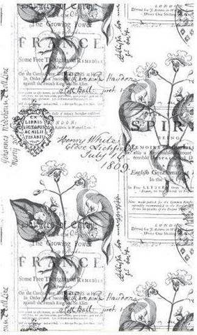 Gift Paper Botanic Grey