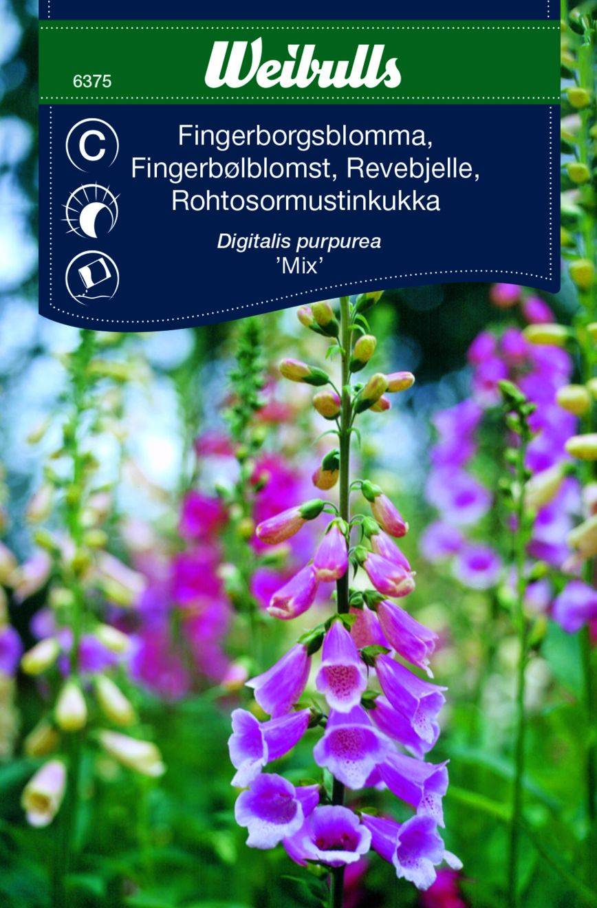 Fingerborgsblomma Mix