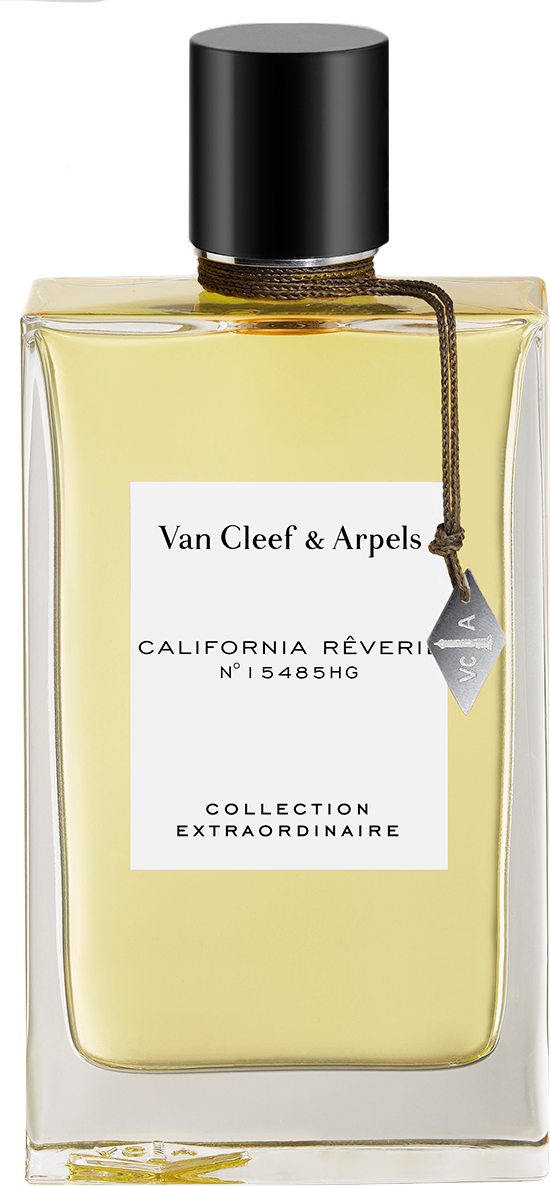 California Reverie EdP