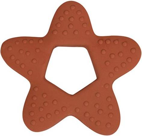Star Bidering Rust