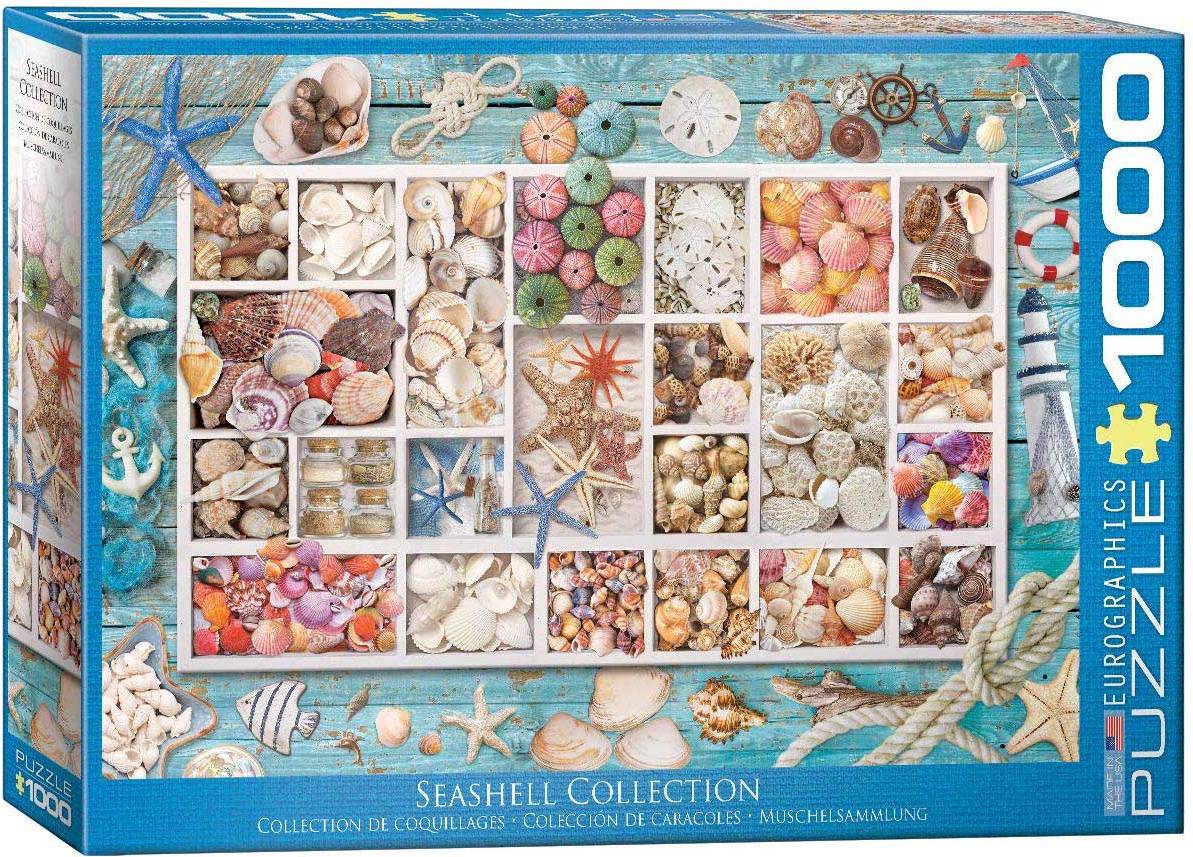 Eurographics Seashell Collection 1000 Bitar
